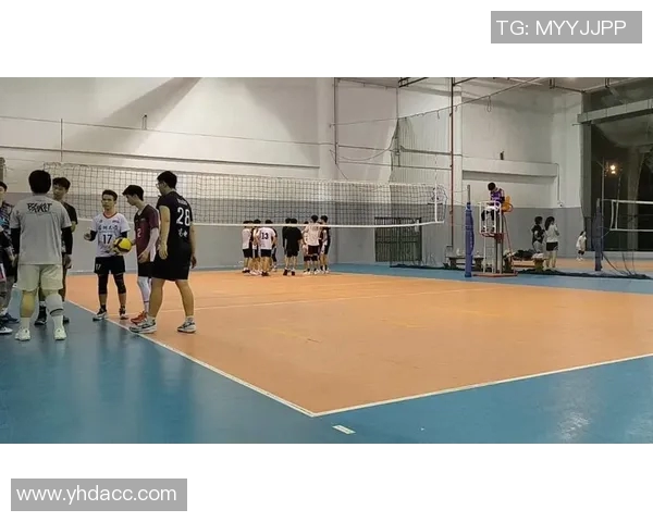 聚焦排球:探讨深圳排球队的实力与未来发展潜力